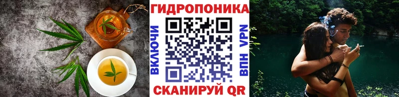 Купить Тутаев Canna-Cookies конопля