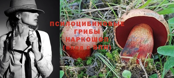 трава Горняк