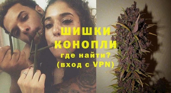 трава Горнозаводск