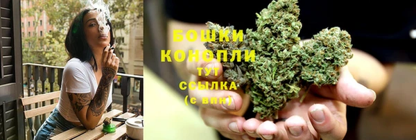 трава Горнозаводск